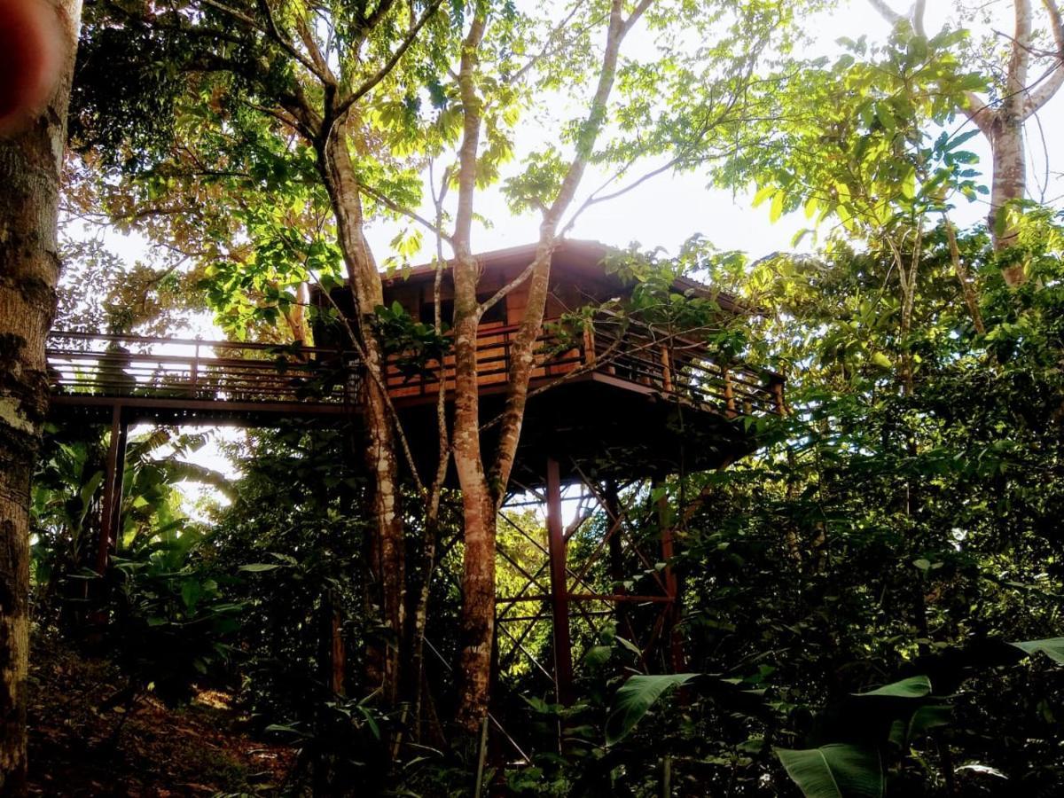 Treehouse Pilon Pavones Villa Pavones  Eksteriør bilde
