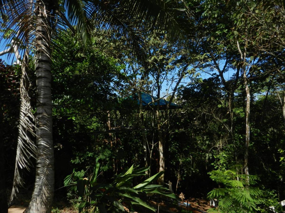 Treehouse Pilon Pavones Villa Pavones  Eksteriør bilde