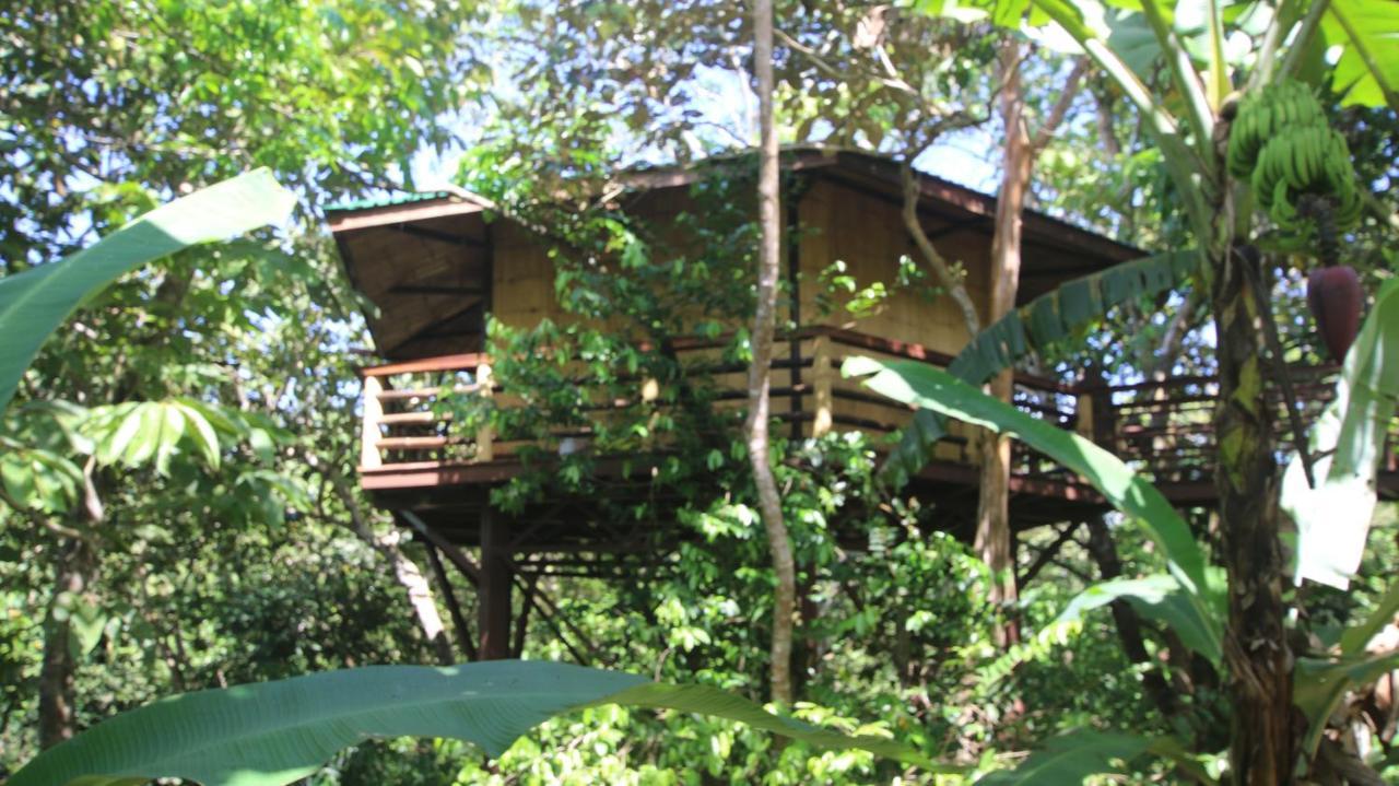 Treehouse Pilon Pavones Villa Pavones  Eksteriør bilde