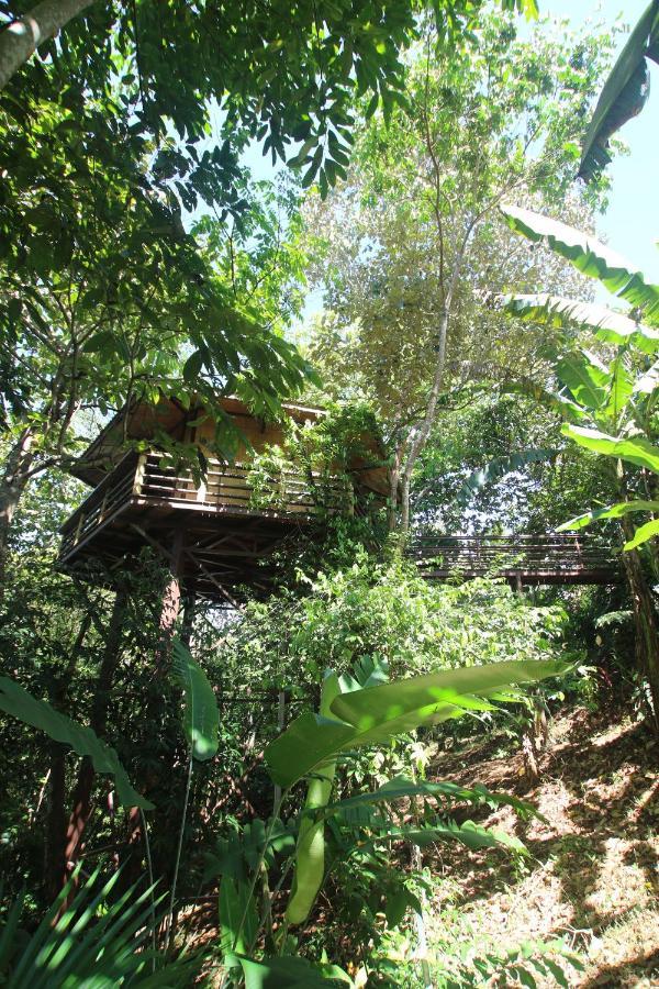 Treehouse Pilon Pavones Villa Pavones  Eksteriør bilde