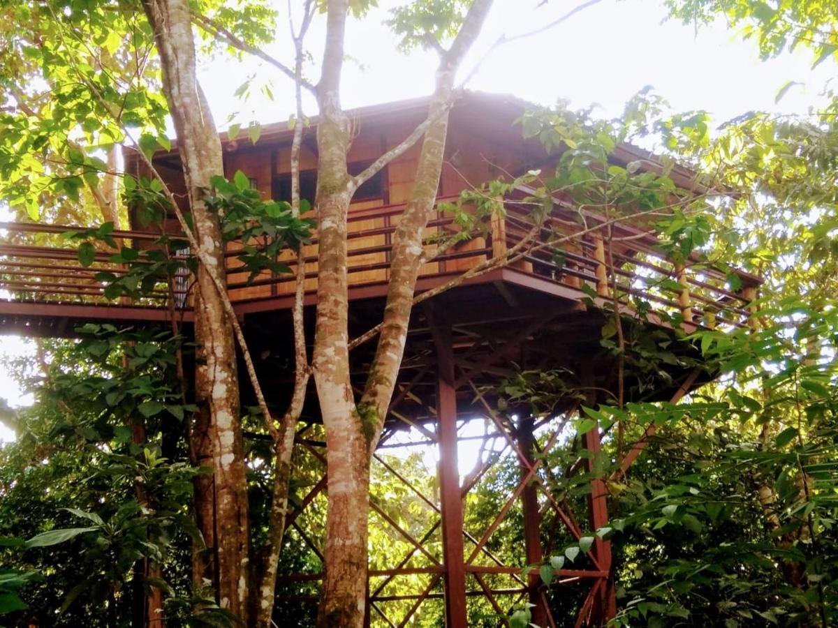 Treehouse Pilon Pavones Villa Pavones  Eksteriør bilde