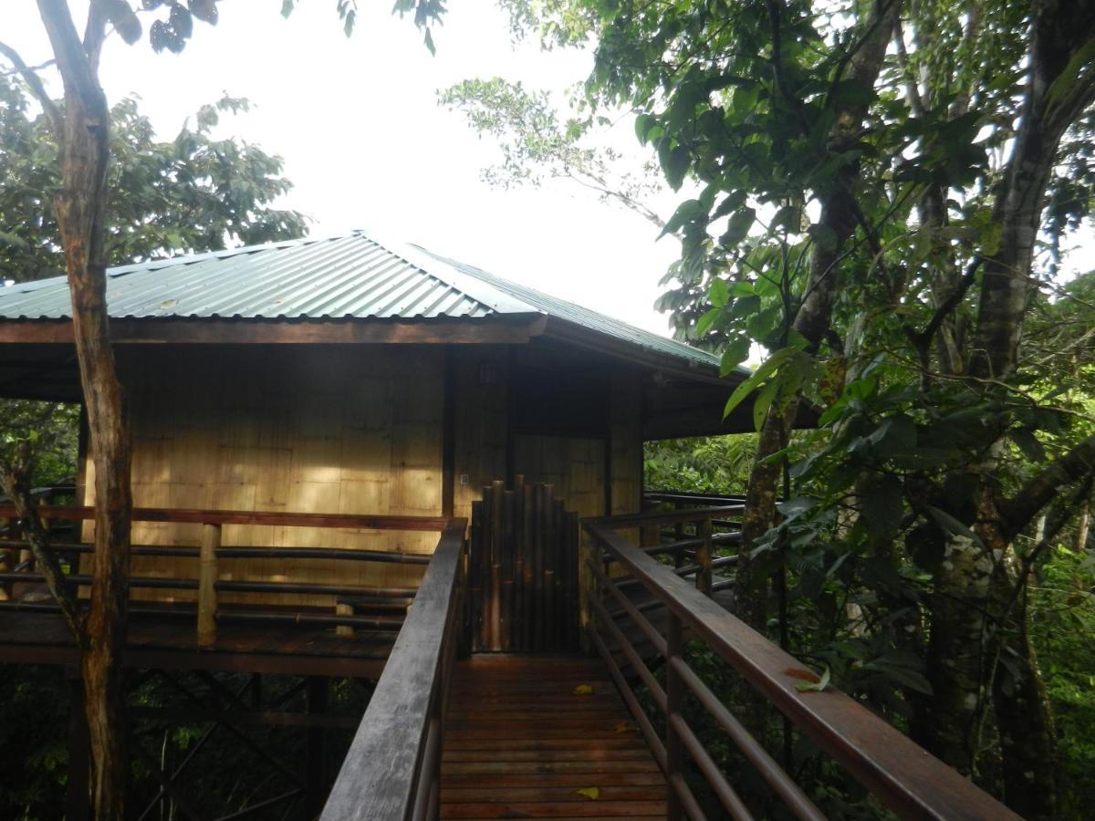 Treehouse Pilon Pavones Villa Pavones  Eksteriør bilde
