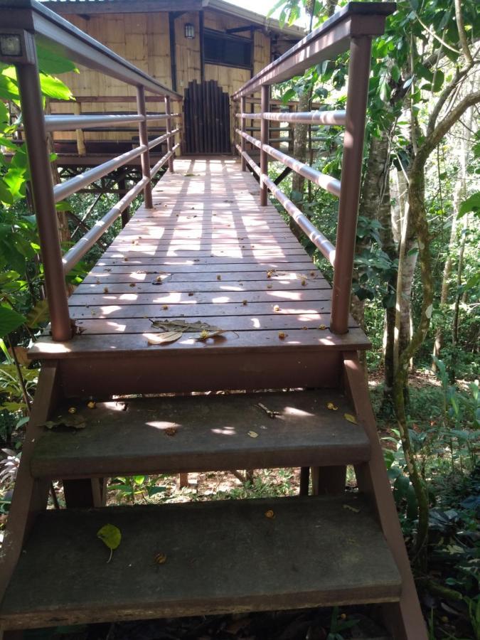 Treehouse Pilon Pavones Villa Pavones  Eksteriør bilde